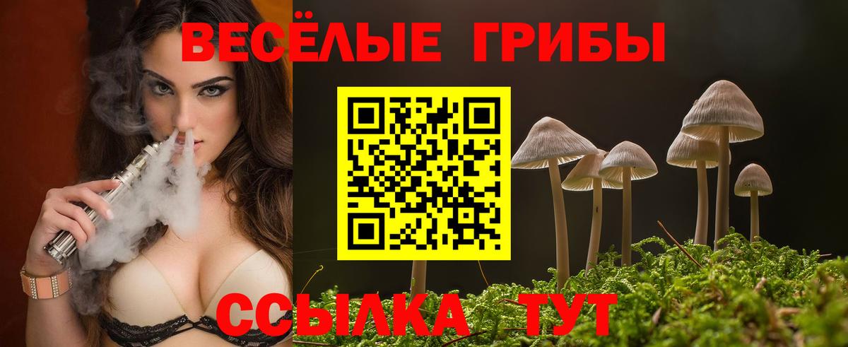 Галлюциногенные грибы GOLDEN TEACHER  Галлюциногенные грибы прущие грибы  Вход с VPN  магазин продажи наркотиков  Бахчисарай 
